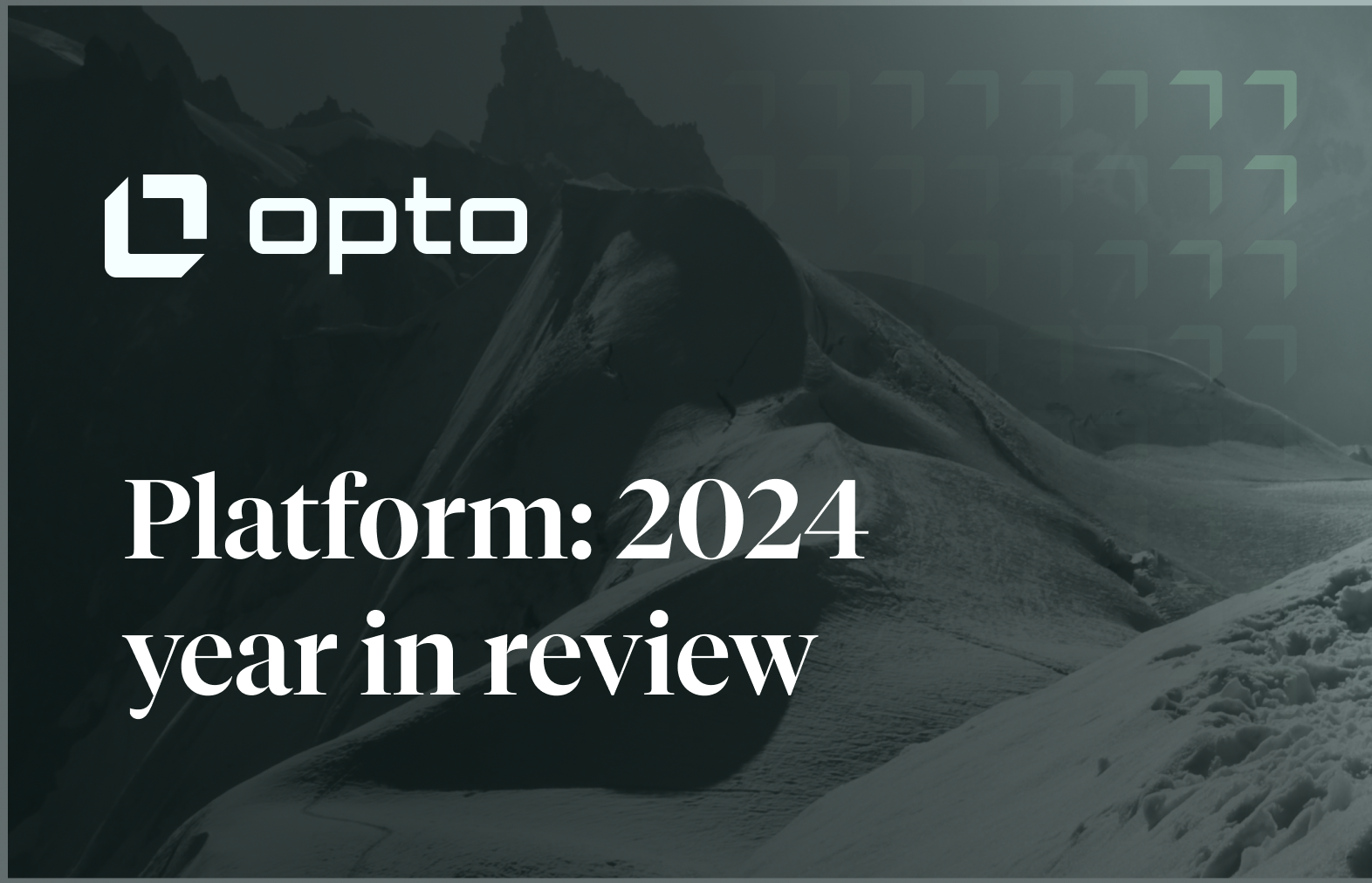 2024 year in review: The Opto platform